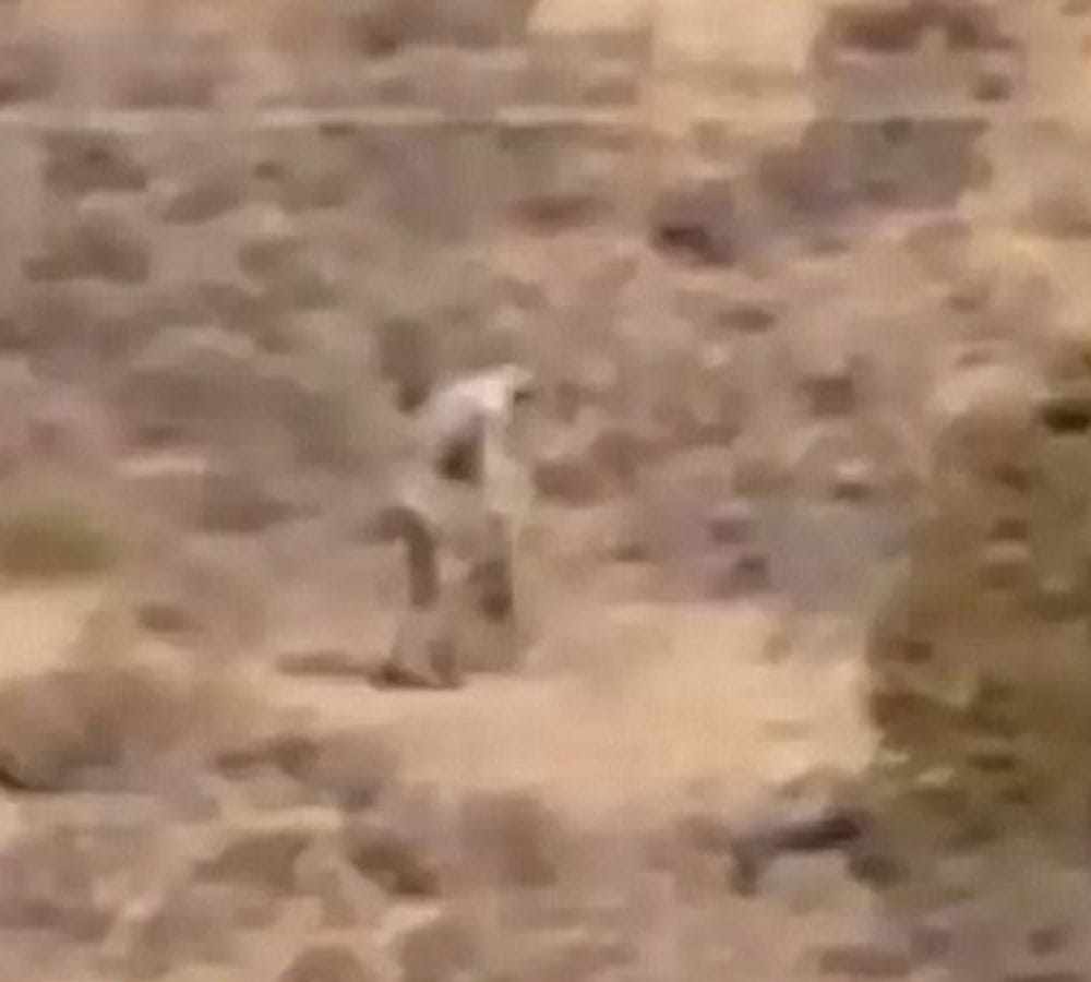 Mysterious man filmed roaming Portuguese desert