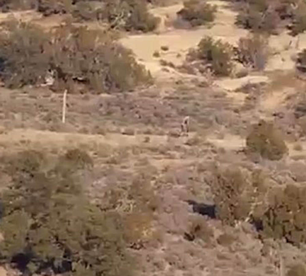 Mysterious man filmed roaming Portuguese desert