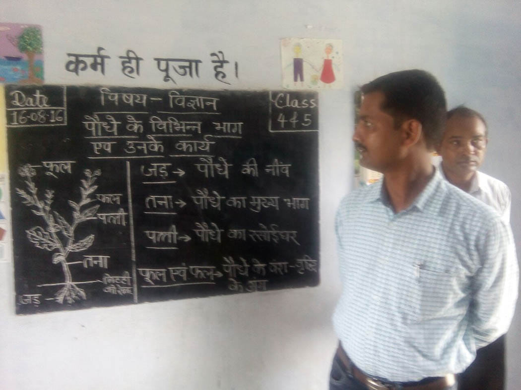 specialist checked ouality of education 