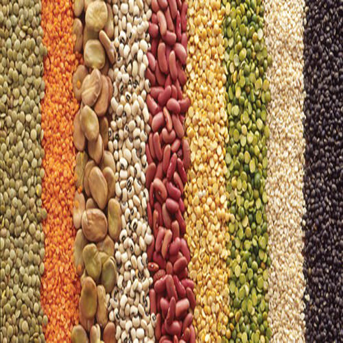 Add Pulses Into Your Diet To Lose Weight Naturally