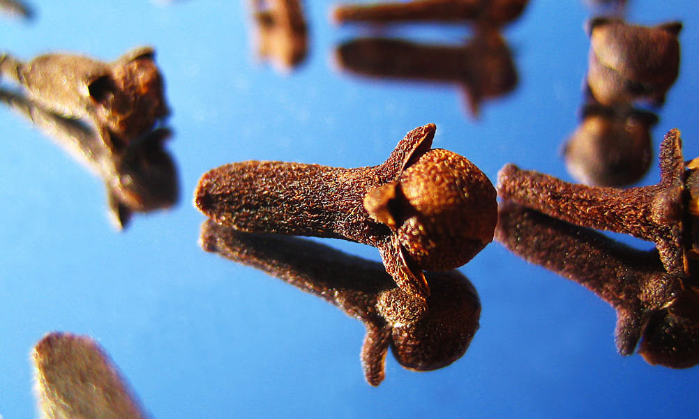benefits of clove oil and tea