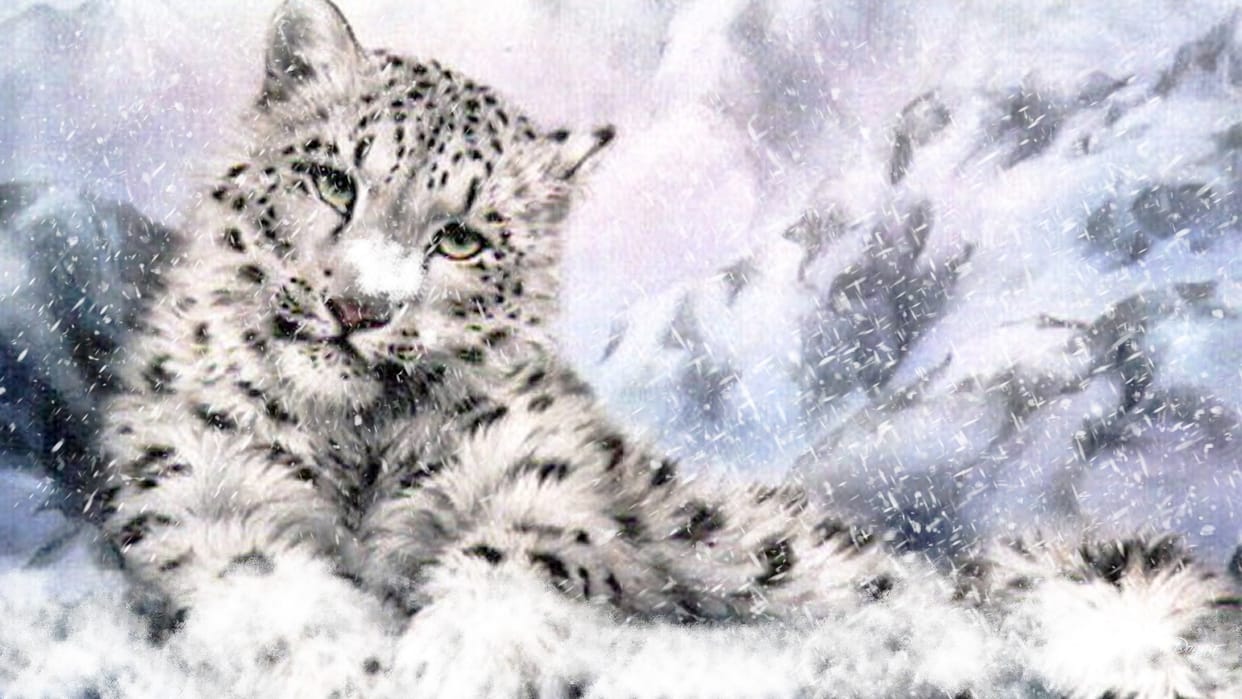 snow leopard footprints found in kedarnath Wildlife Division