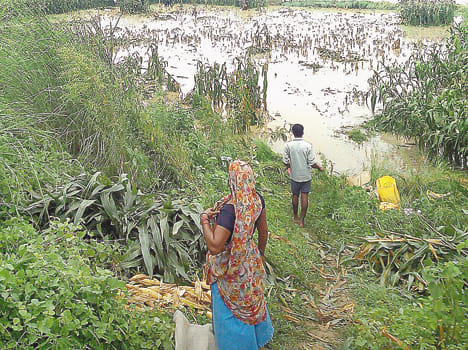 Gdia, Blidaspur reached the Black River