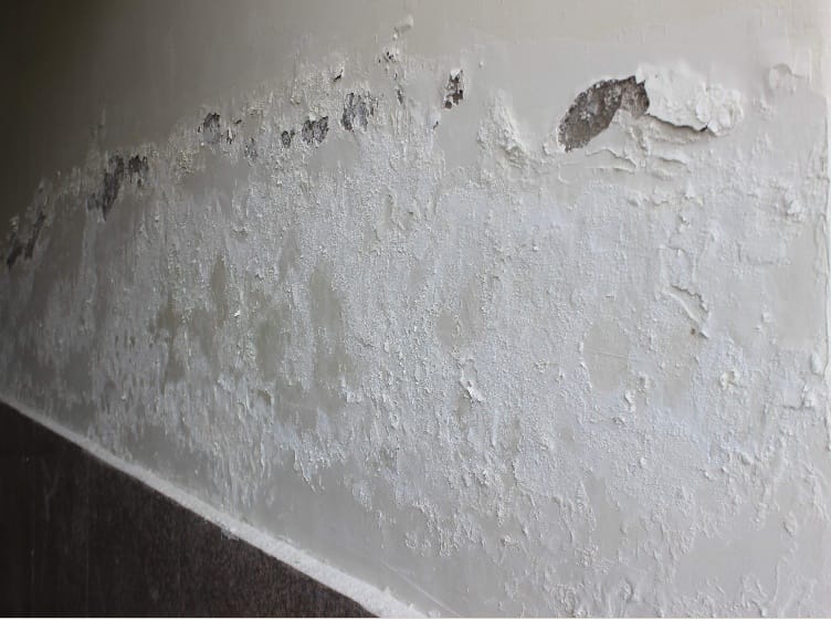 panchkula, General Hospital, new building, leaking, water, patients, panchkula