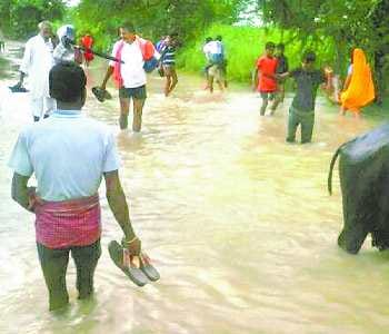 The Ghghra rose again, entered the water in 8 villages