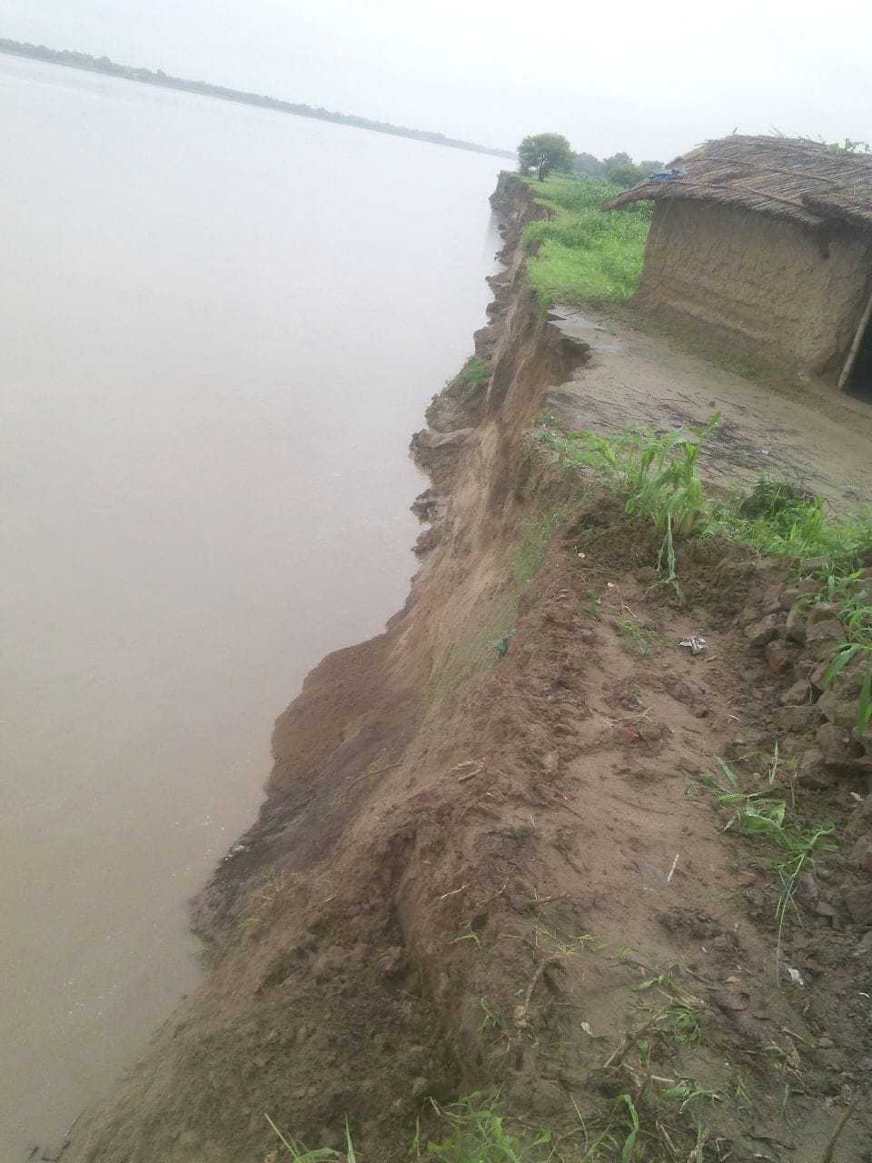 Ganga grew to record-breaking