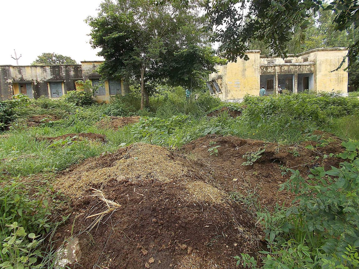 Dbangon on veterinary hospital Possession of, straw filled