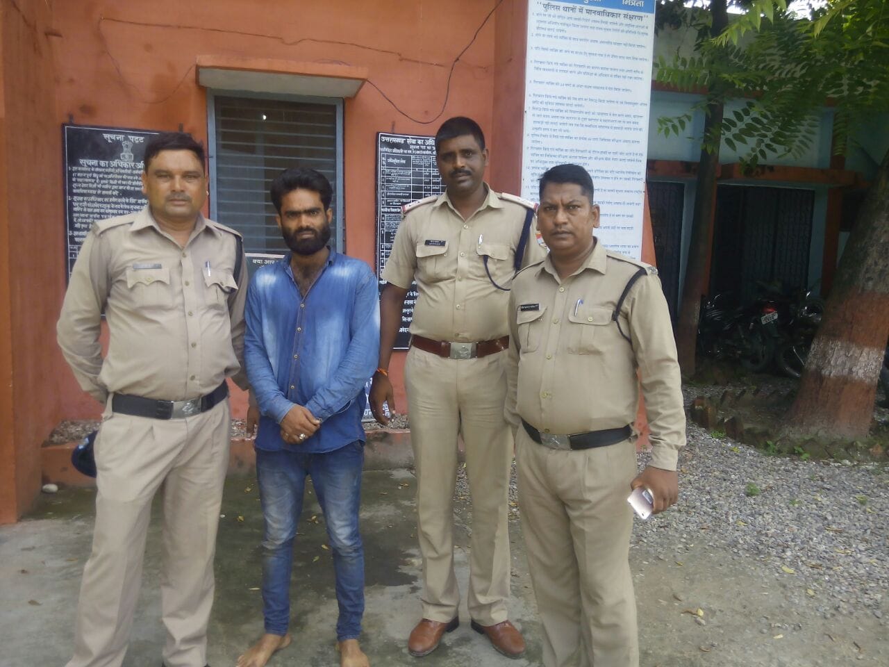 police found bull in milk van.
