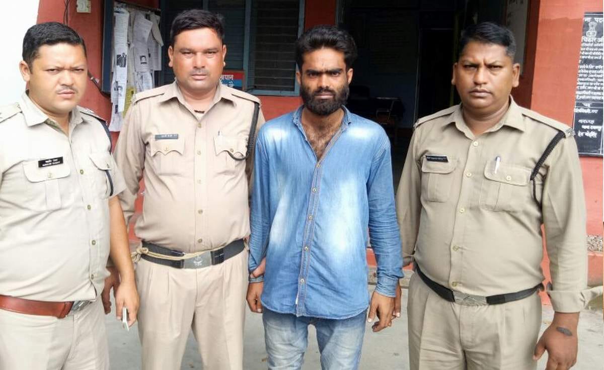 police found bull in milk van.