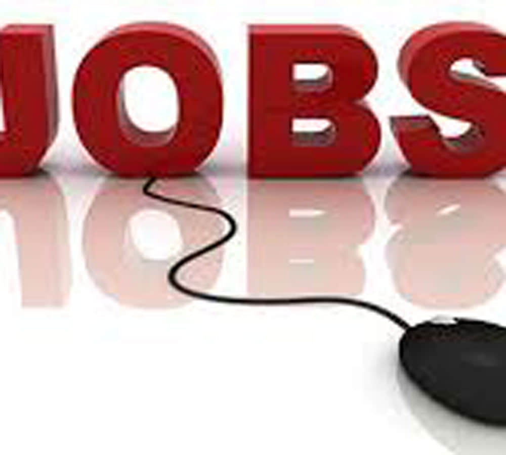 Sarkari Nukari RCFL Recruitment 2020 vacancy for Junior Fireman Grade II, Management Trainee Chemical and other posts