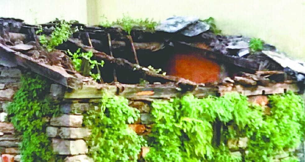 Rain broken houses, uprooting trees survived by children