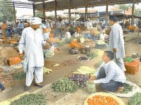 jind, harayana, vegetable, rates cuts, climate change,  harayana