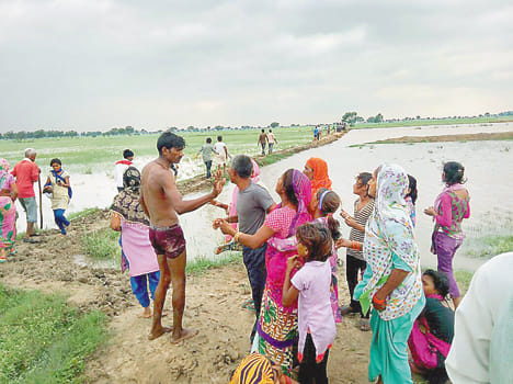 Strangulation murder of a young man, filled pond