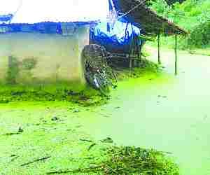 Infection in water lodged area of Amethi village