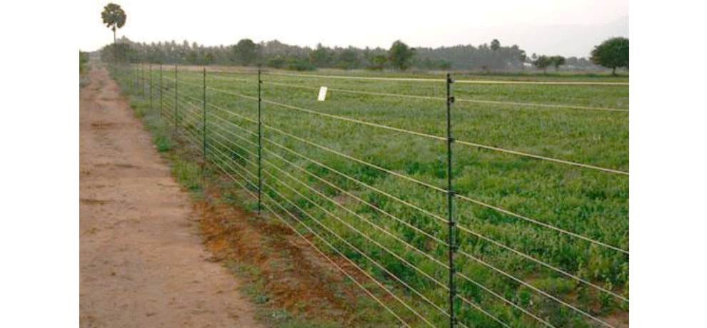 Solar Fencing for protection of crops from domestic and wild animals