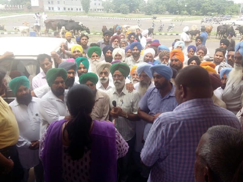 Bharatiya Kisan Union Lckhowal, SDM office unclaimed cattle left,  Kmanon, Fatehgarh Sahib