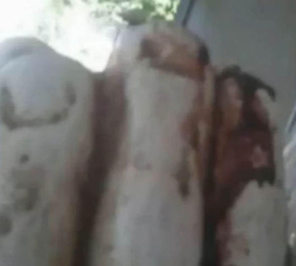 Virgin Mary statue starts crying blood