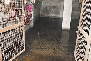 flood in pratapgrah