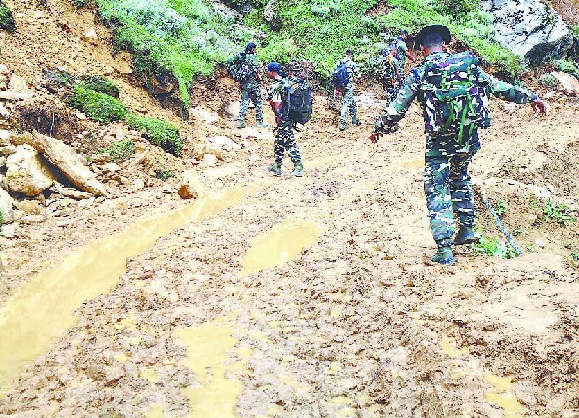 Road debris was harvested and dump