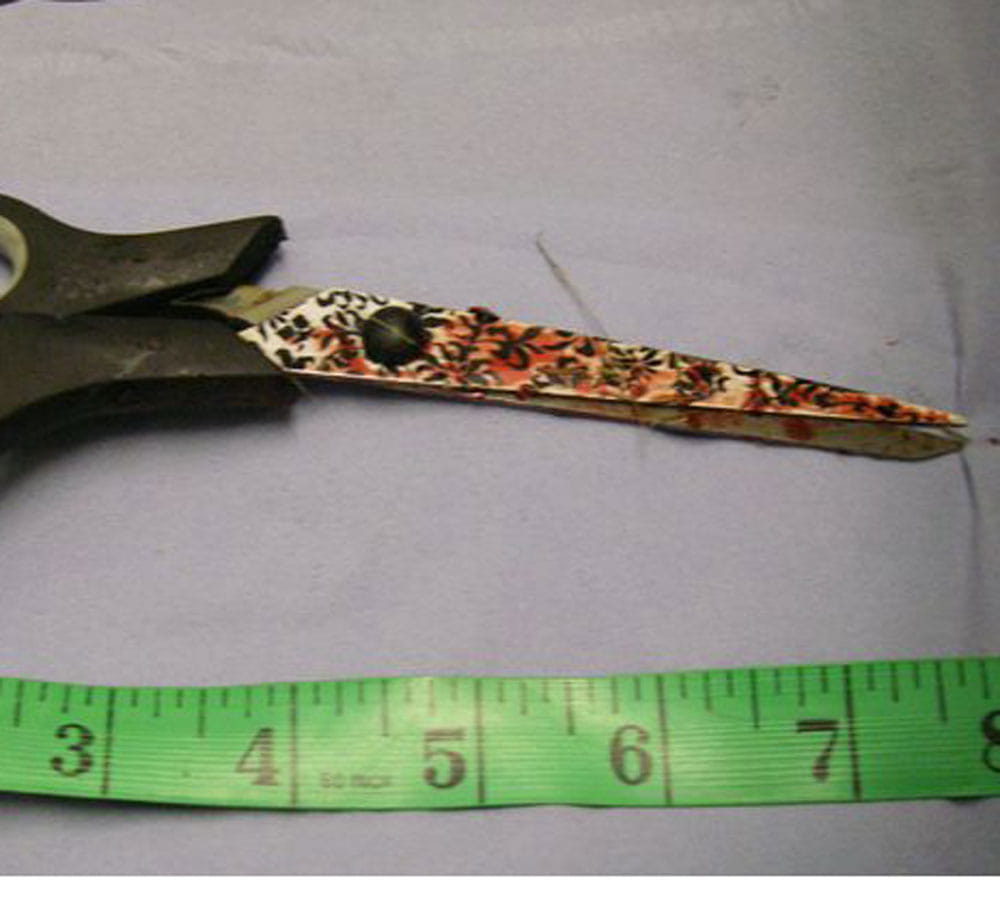 drunk woman who cut off snake head