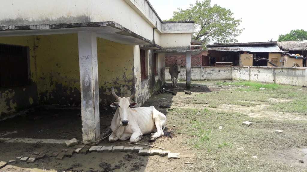 25 karod se graam panchaayaton mein bahegee vikaas kee ganga