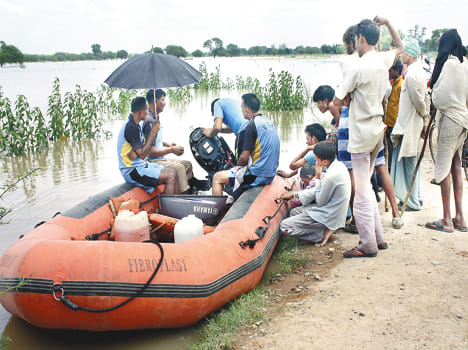 Even more harmful in rice waterlogging