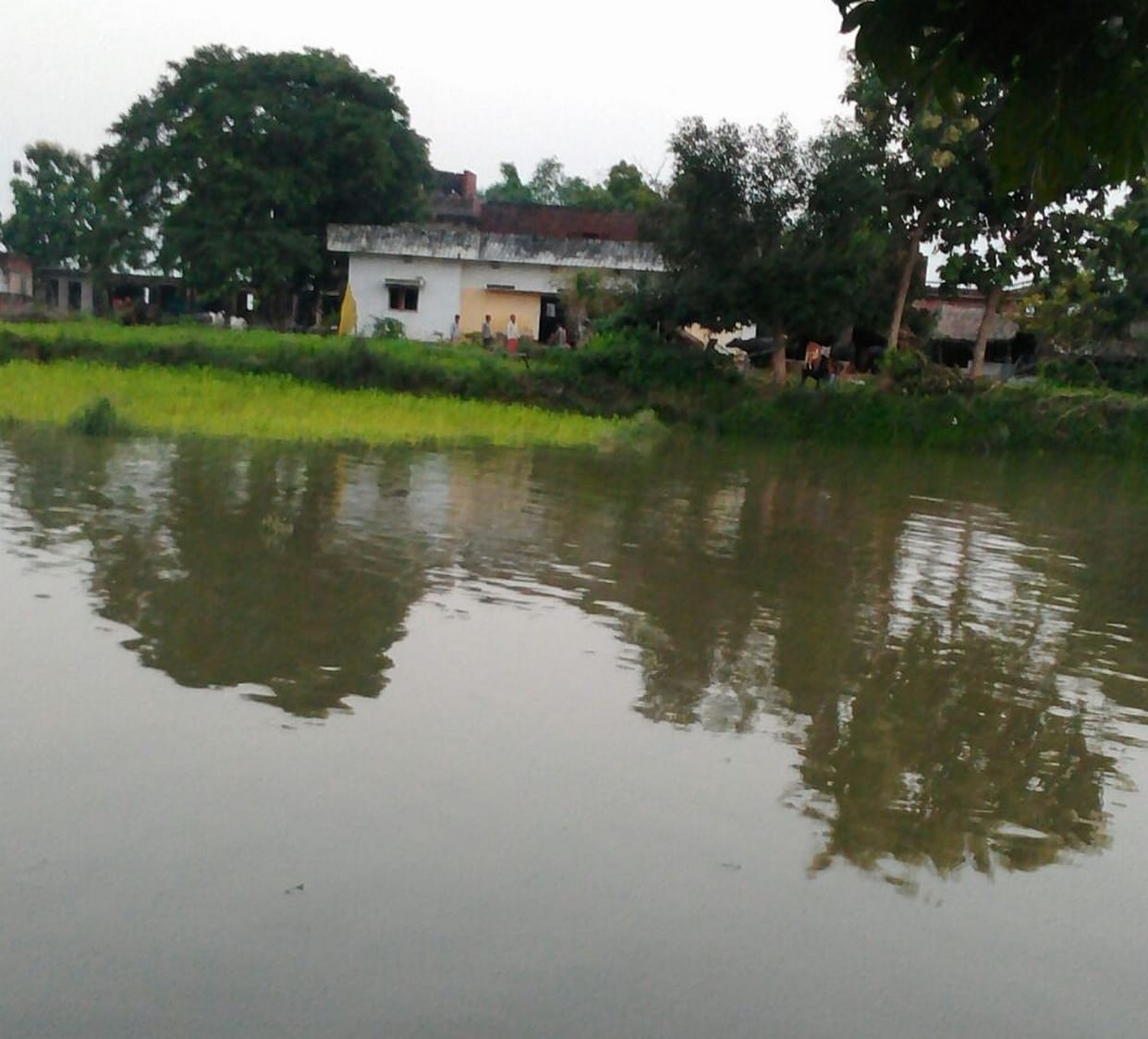 157 village hit by floods