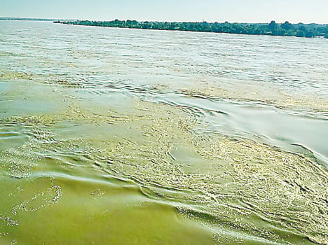 Betwa red, villagers panic