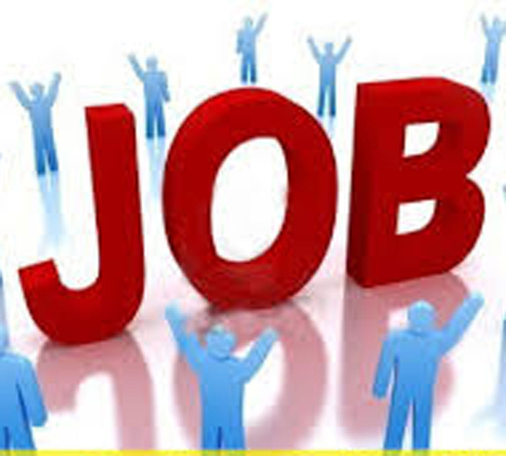 Engineer applied for job with fake degree
