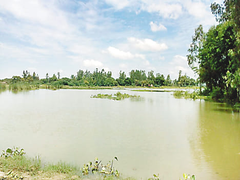 The water level decreased, crops were steeped