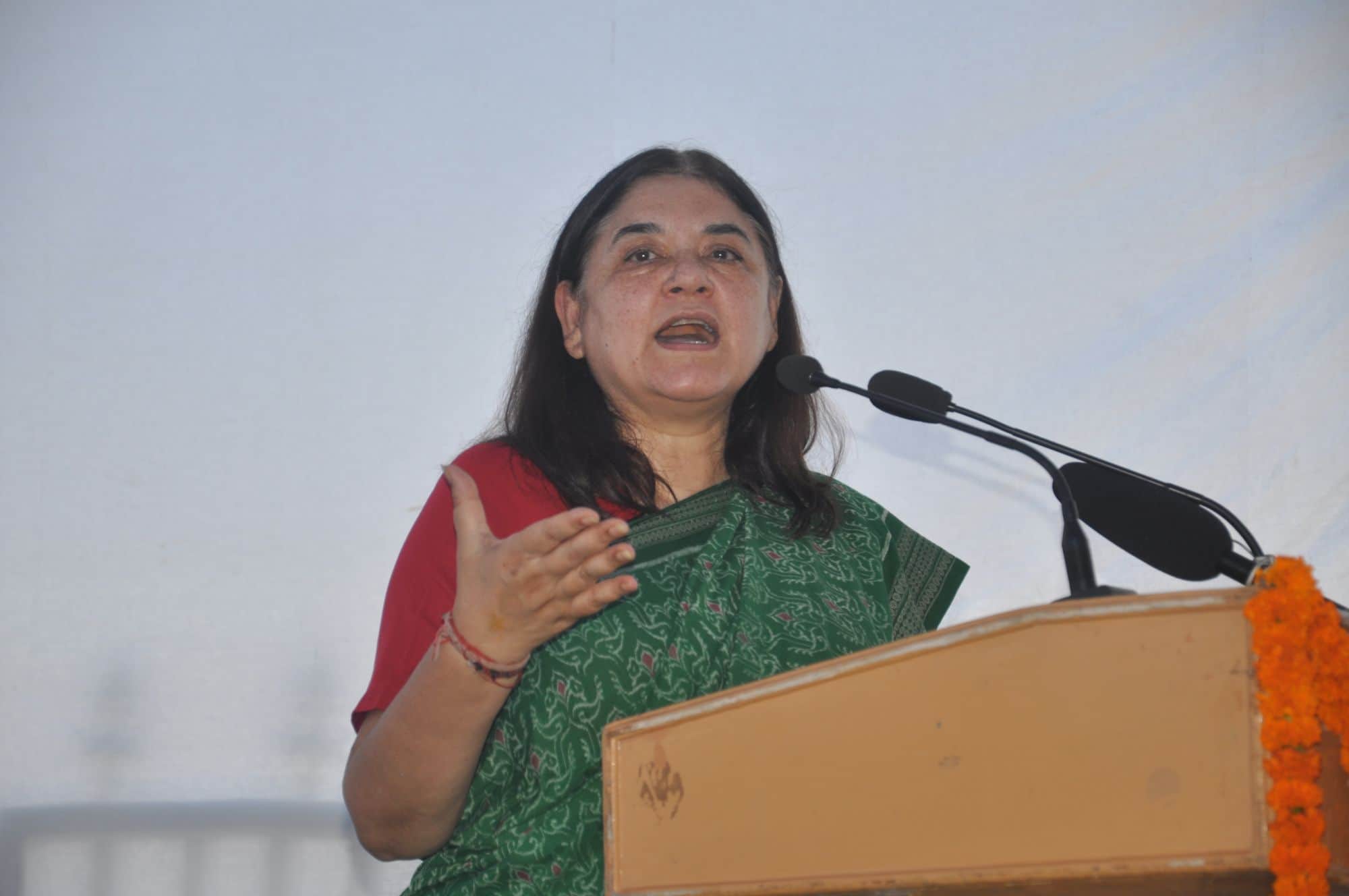 menka gandhi told reson of cow killing.
