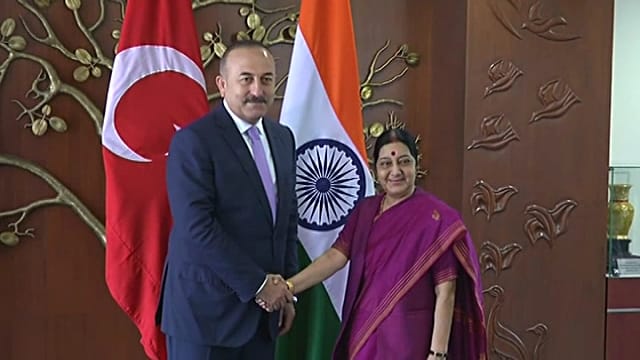 FETO infiltrated in India says by Turkey foreign minister Mevlut Cavusoglu