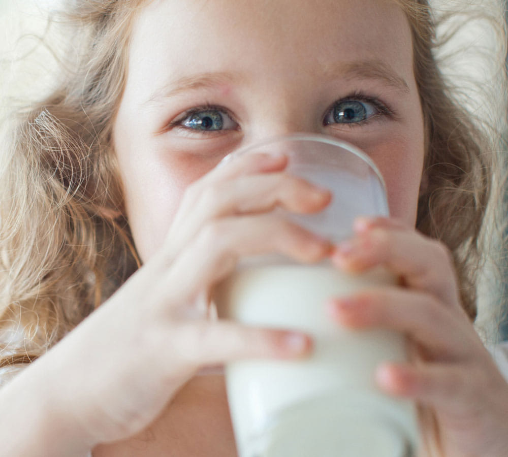 milk is very harmful for bones