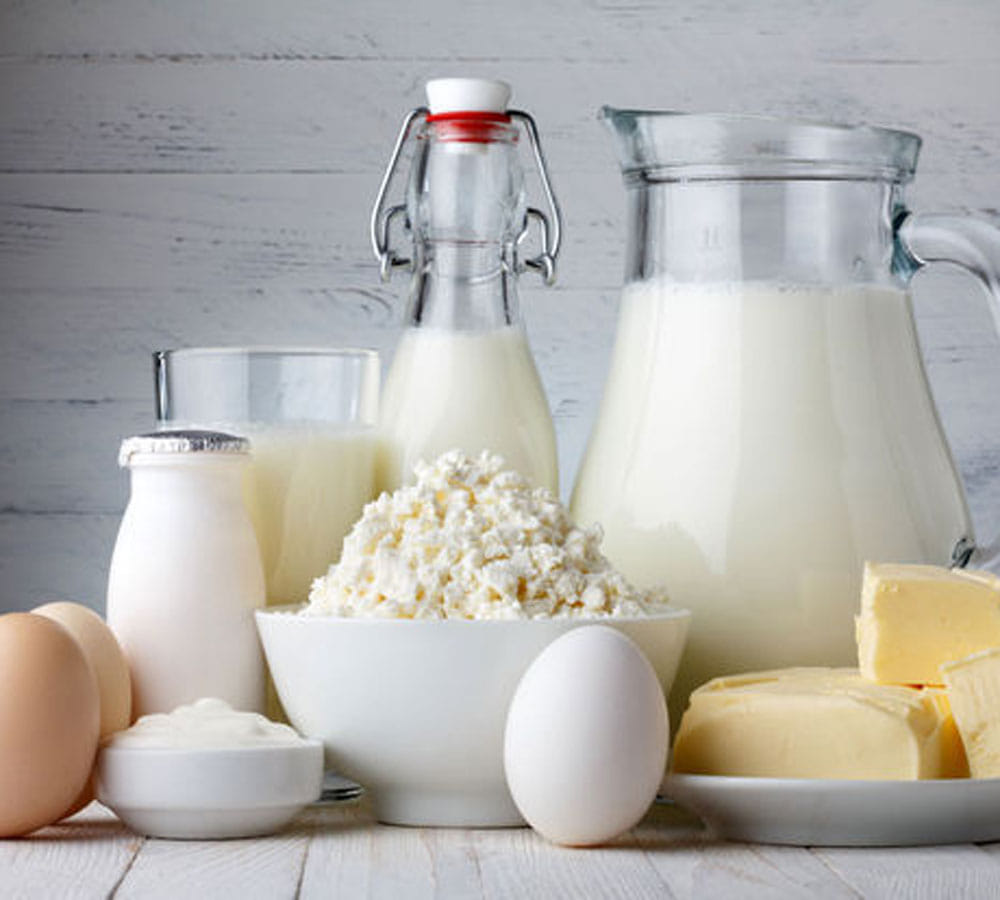 milk is very harmful for bones