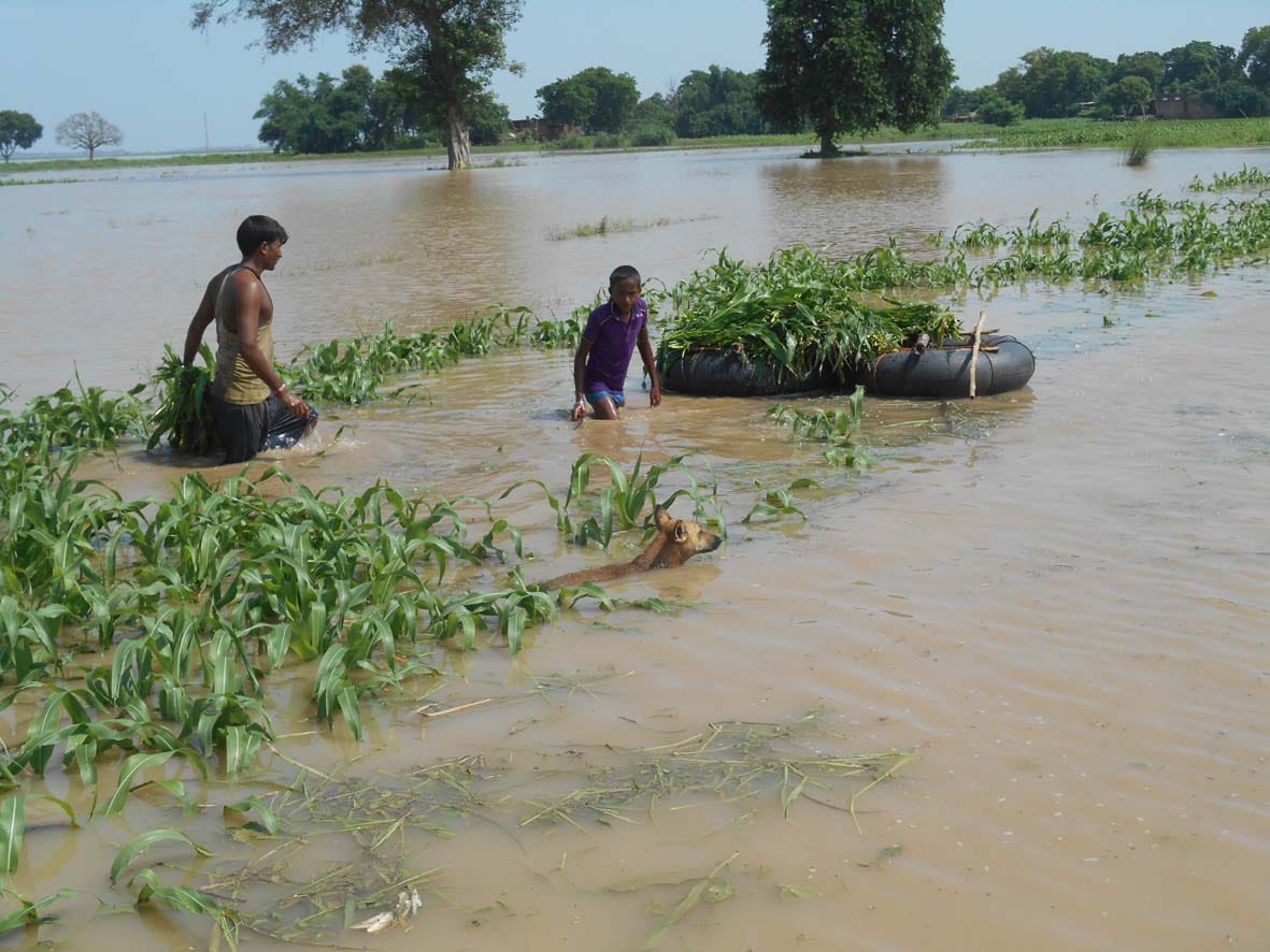 10 Bhigha land cut in Ghaghara water