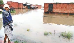 yamuna water