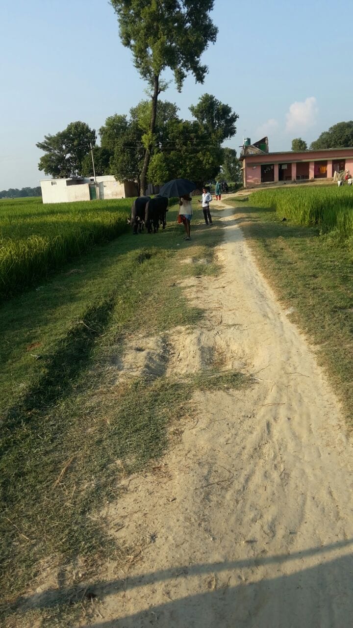 If connectivity will not boycott elections
