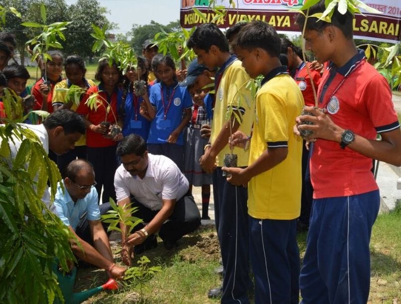 The planting
