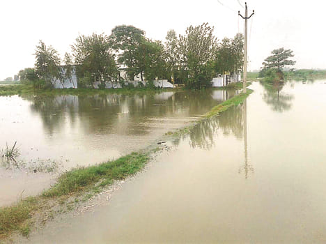 Ramganga river and the constant full surge