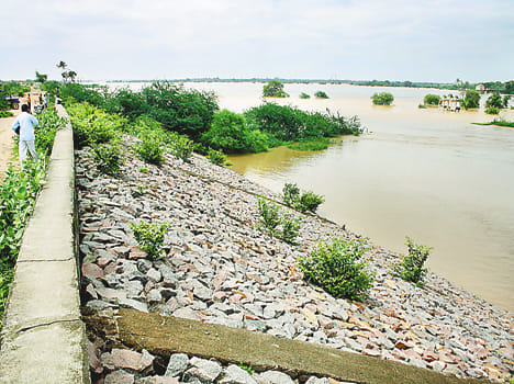 Ken ceased,yamuna  river spree