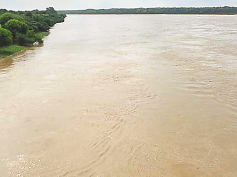 flood danger in villages near chambal 