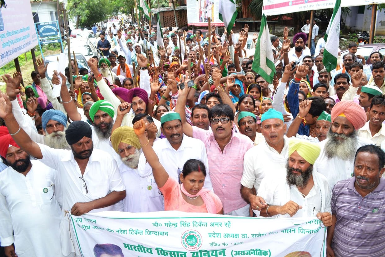 bku want crop insurance 