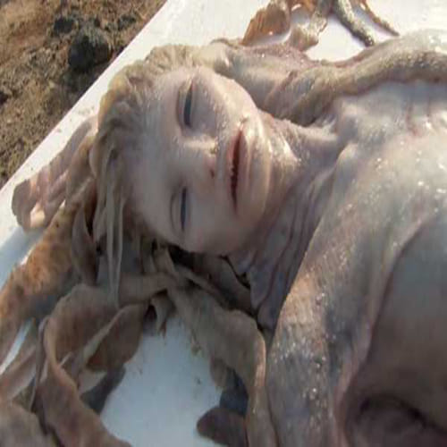 mermaid dead body reality
