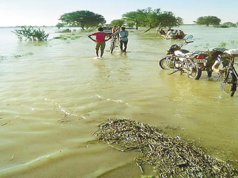 Yamuna came upon lapped Hdhahi Majra