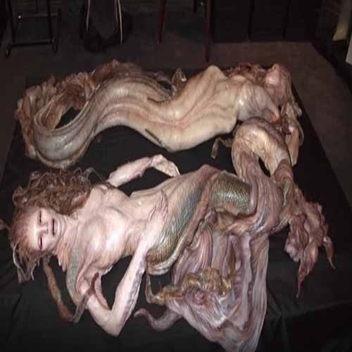 mermaid dead body reality
