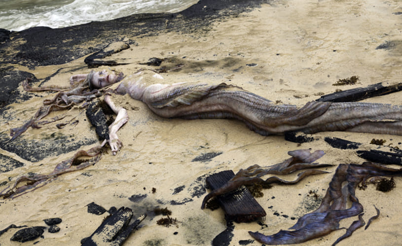 mermaid dead body reality