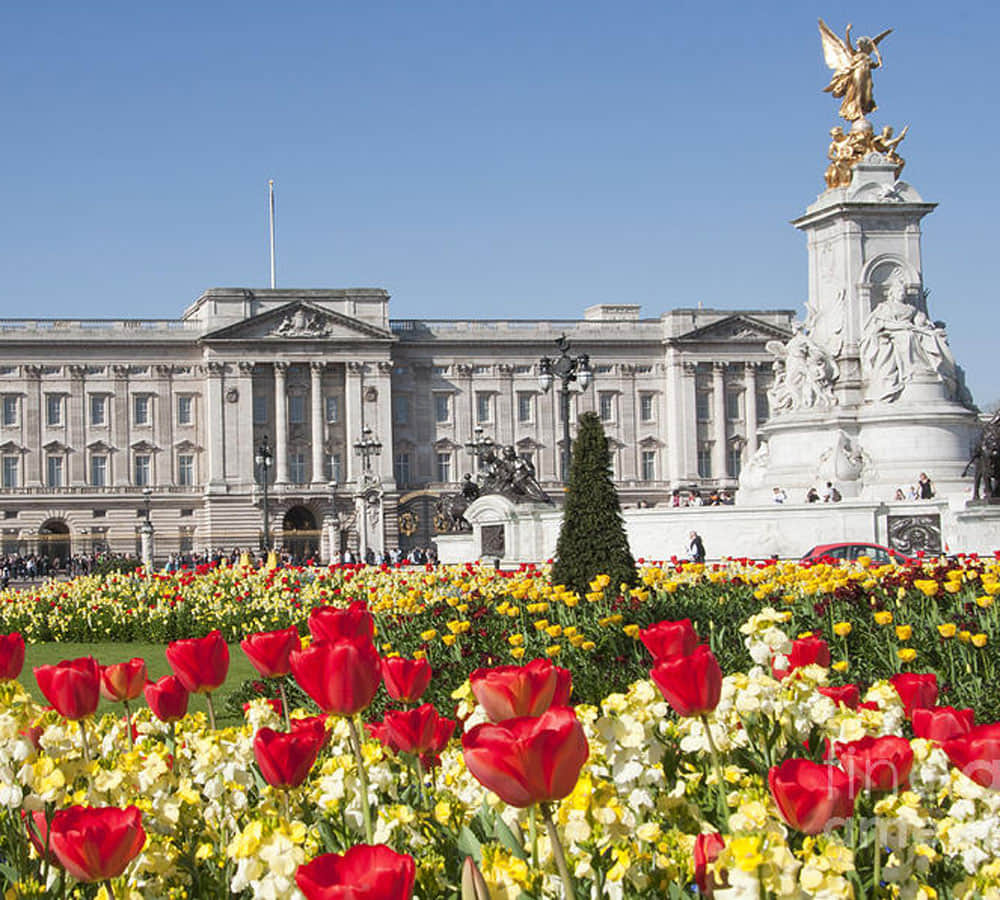 queen elizabeth seeks gardener for buckingham palace