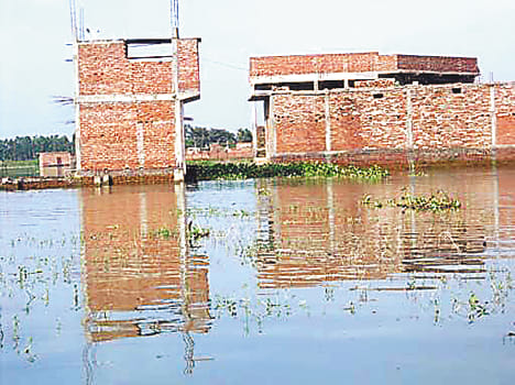 water lavel started growing