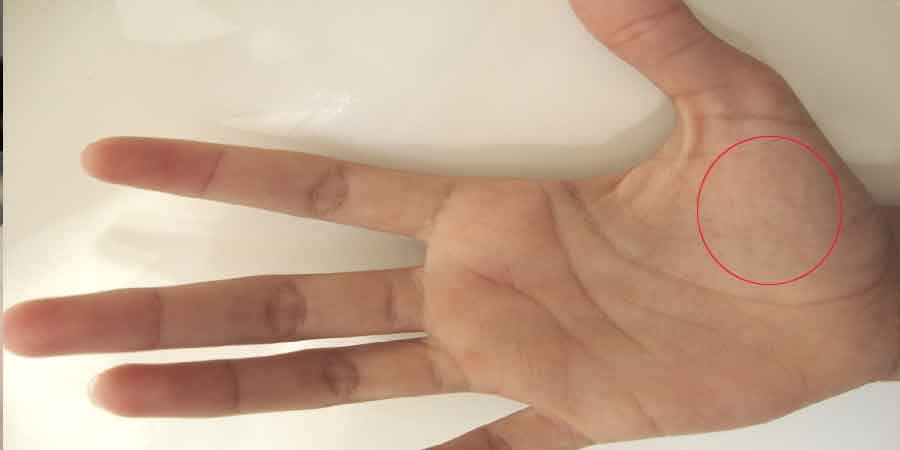 palmistry sign of impotency 
