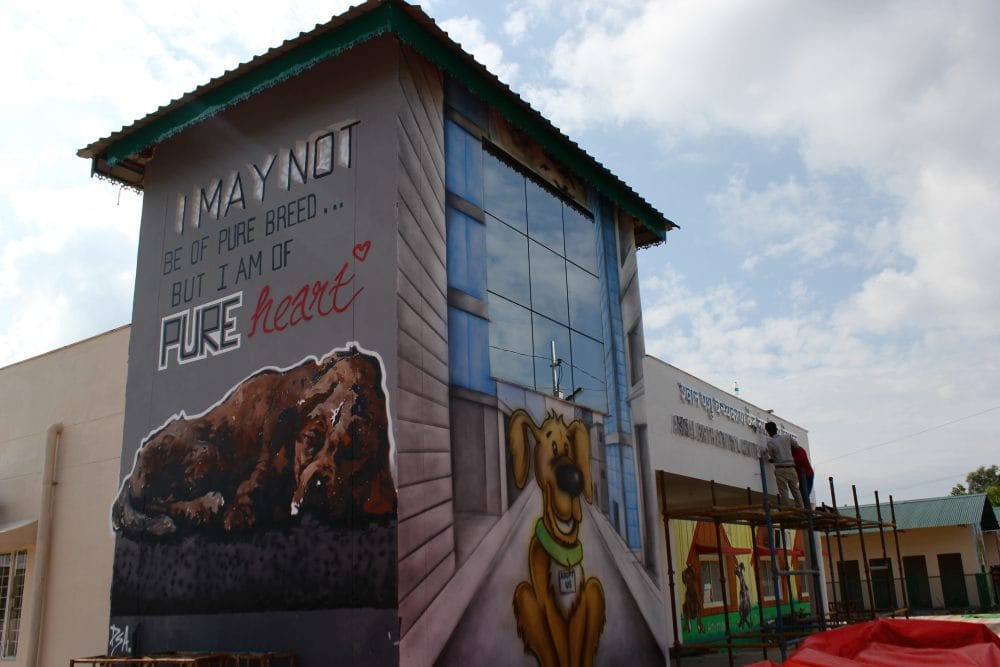 dehradun animal birth control center with good facility